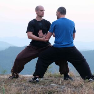 Qi Gong - Einzelsession - Shendao Zentrum