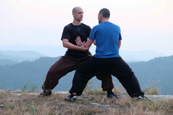 Qi Gong - Einzelsession - Shendao Zentrum