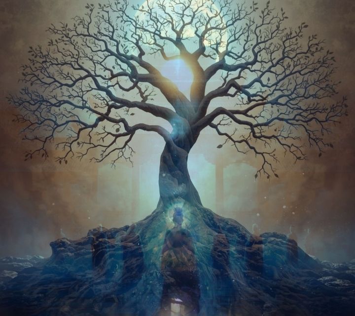 Back to the Roots - Ahnenarbeit